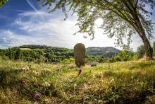 Statue-menhir sur une colline