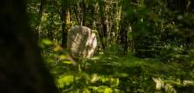 Statue-Menhir en forêt
